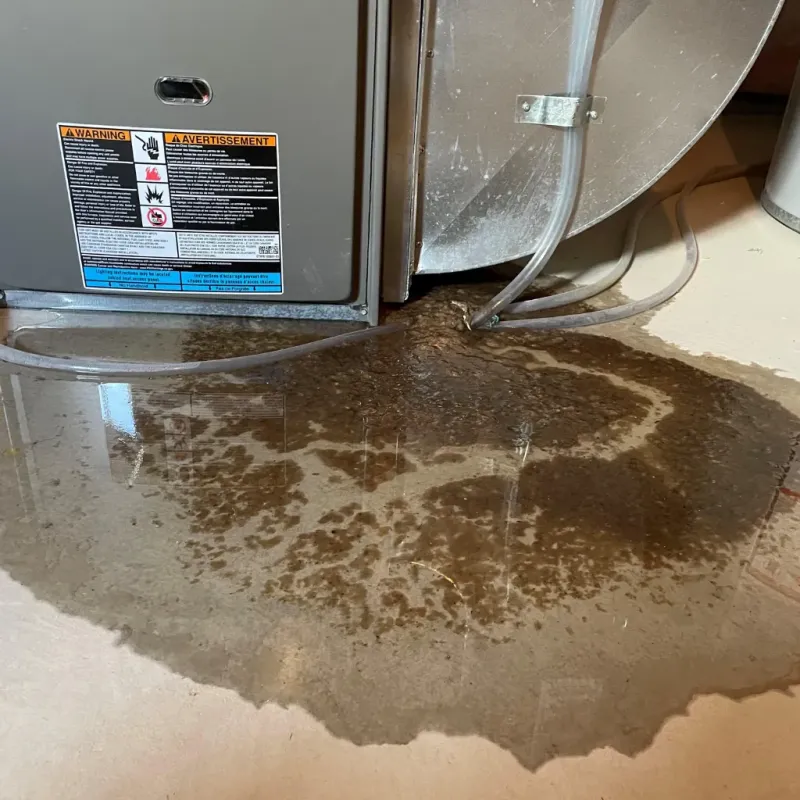 Appliance Leak Cleanup in Taylor, TX